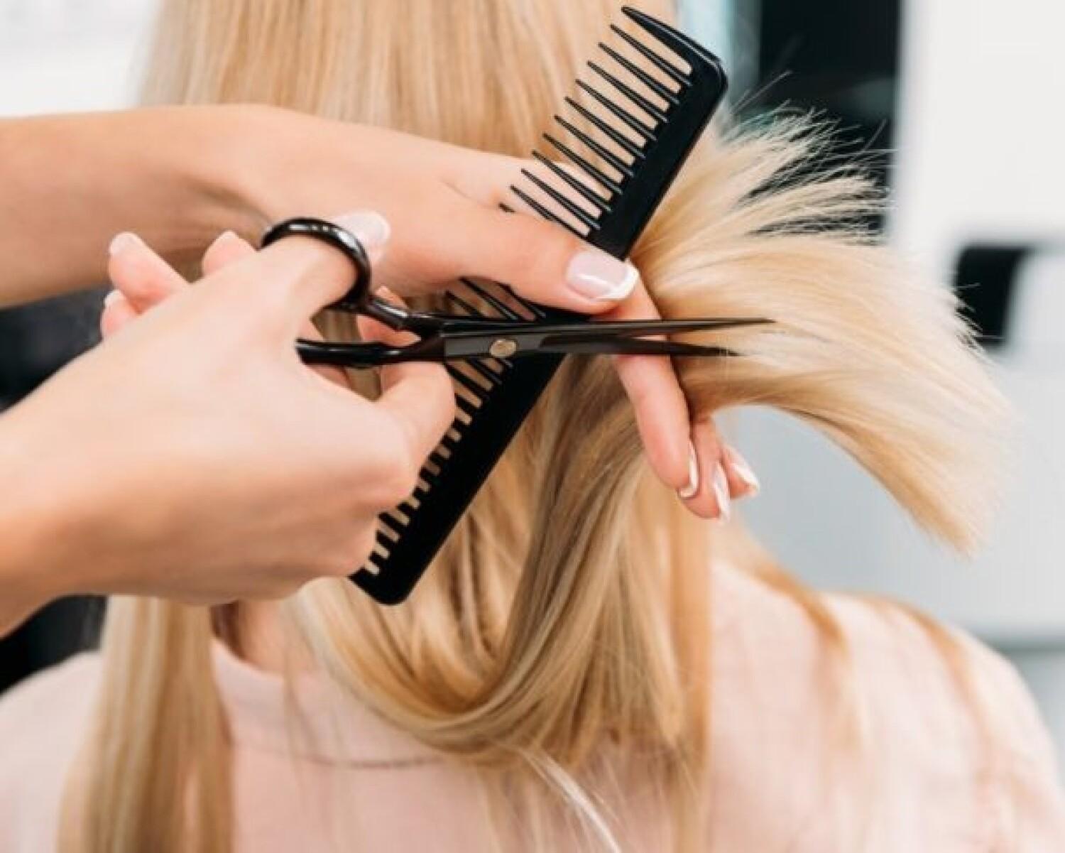 Salon Z-up
