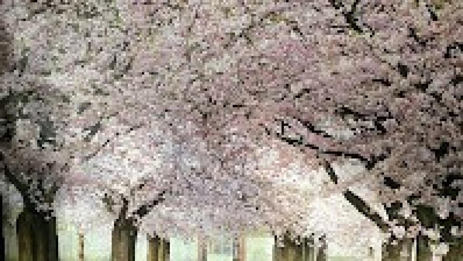 På toppen v/Majbritt Rasmussen