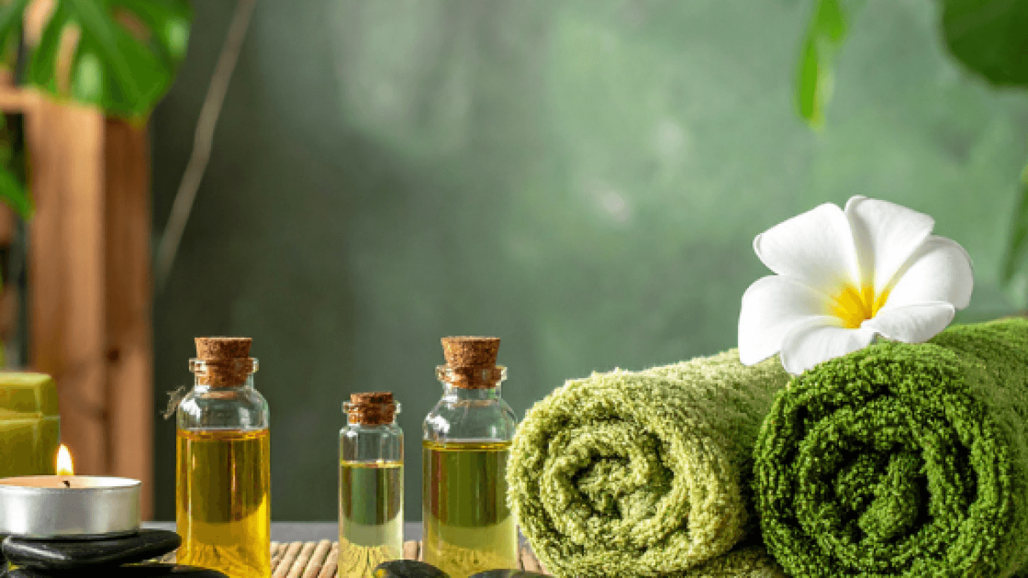 The Wellness Alchymist